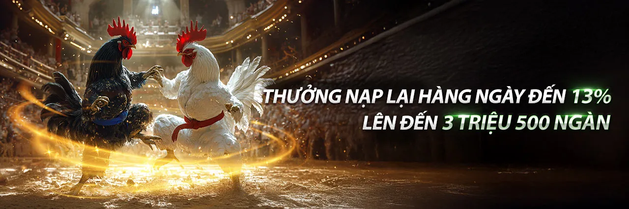 Đấu trường đá gà trực tuyến sôi động tại nbet88